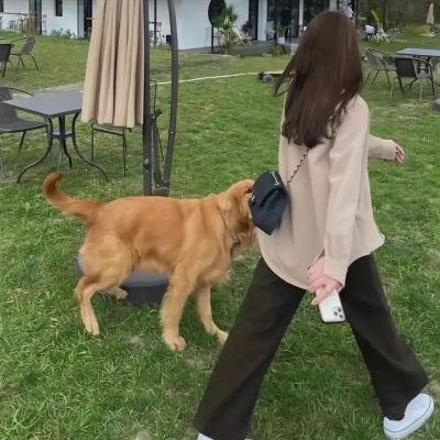 山羊的故事