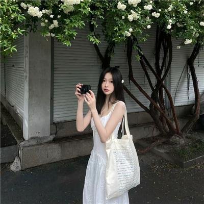 成凰录